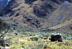 Cordillera Blanca