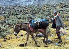 Cordillera Blanca