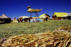 Uros