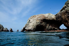 Islas Ballestas, Paracas