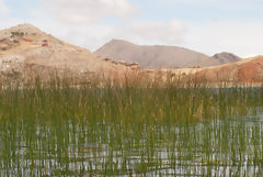 Isla Tikonata en el Lago Titicaca