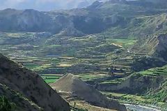 Can del Colca