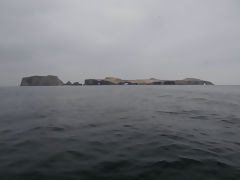 Islas Ballestas, Paracas