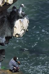 Pescador en las afueras del puerto de Ilo