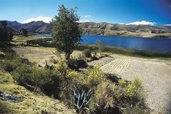 Laguna de Paca