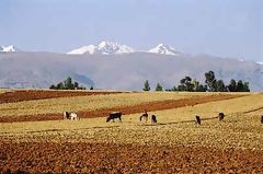 Valle del Mantaro