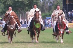 Caballos de paso, Mamacona