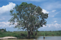 Laguna Yarinacocha