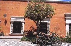 Casa del moral