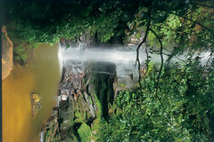 Catarata de Ahuashiyacu