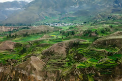 Can del Colca