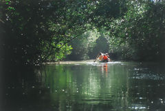 Manglares de Tumbes