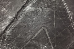 Lneas de Nazca