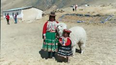 Viaje Puno-Cuzco en tren